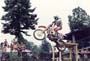 Lake_Sugar_Tree_1991